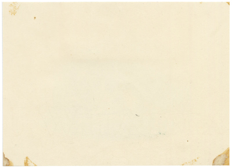 English Springer Spaniel Dog – Original early 19th-century graphite drawing