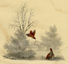William Gunton, Two Grouse Birds – early 19th-century watercolour painting