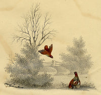 William Gunton, Two Grouse Birds – early 19th-century watercolour painting