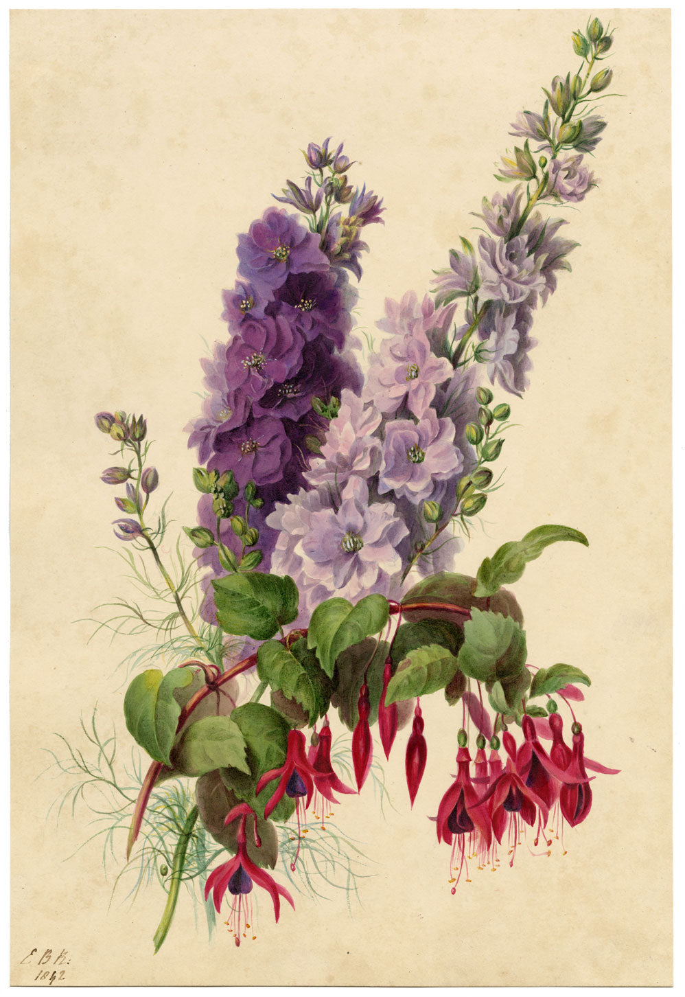 E.B.R., Delphiniums & Fuchsia Flower – Original 1842 watercolour painting