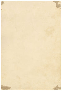 E.B.R., Delphiniums & Fuchsia Flower – Original 1842 watercolour painting