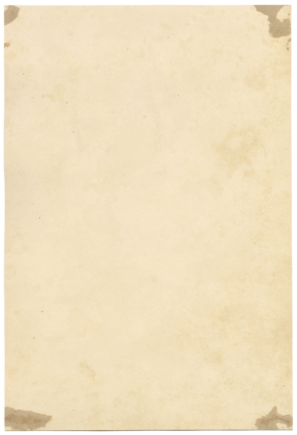 E.B.R., Delphiniums & Fuchsia Flower – Original 1842 watercolour painting