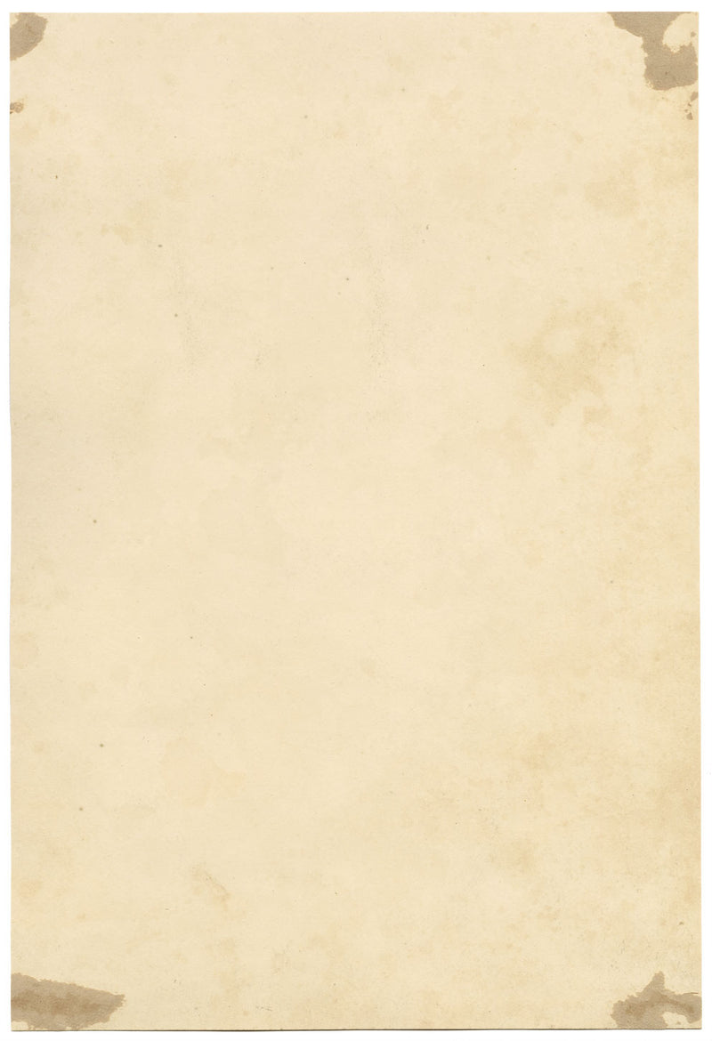 E.B.R., Delphiniums & Fuchsia Flower – Original 1842 watercolour painting