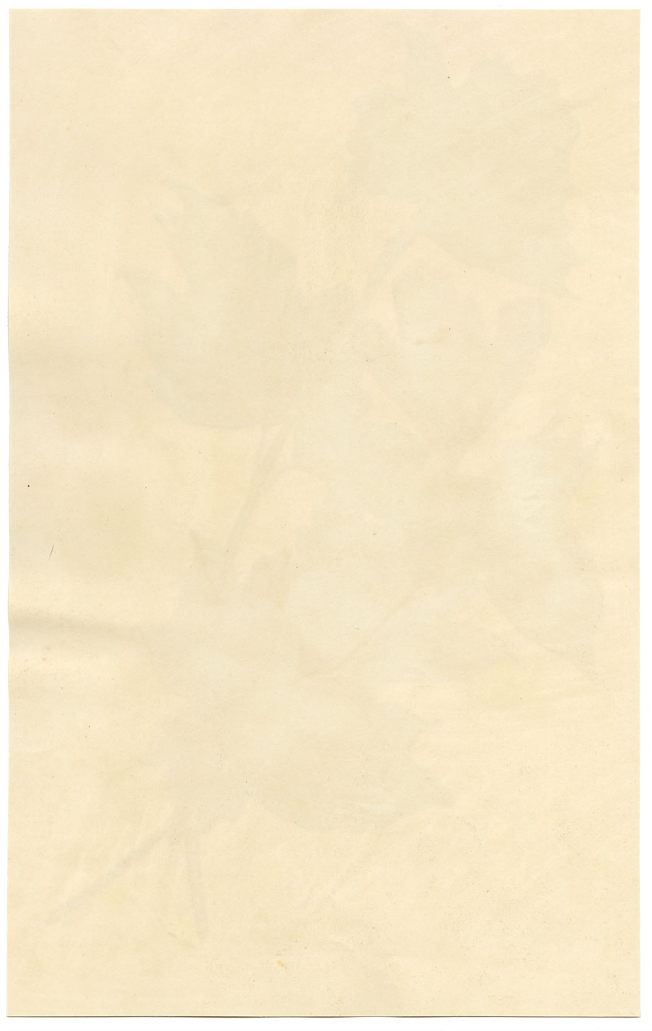 E.B.R., Red Maple Leaf Study – Original 1830 watercolour painting