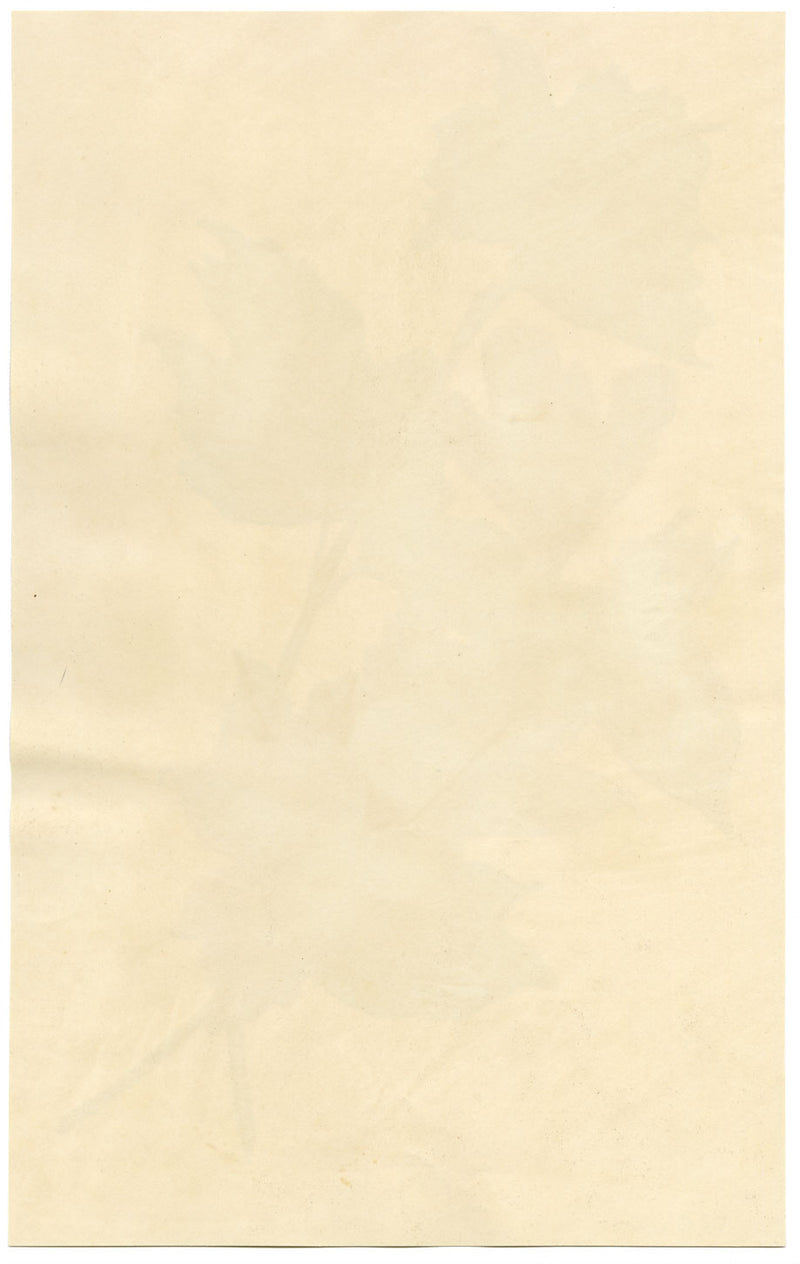 E.B.R., Red Maple Leaf Study – Original 1830 watercolour painting