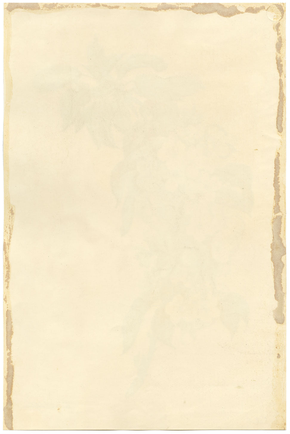 E.B.R., Cherry Blossom Branch – Original 1832 watercolour painting