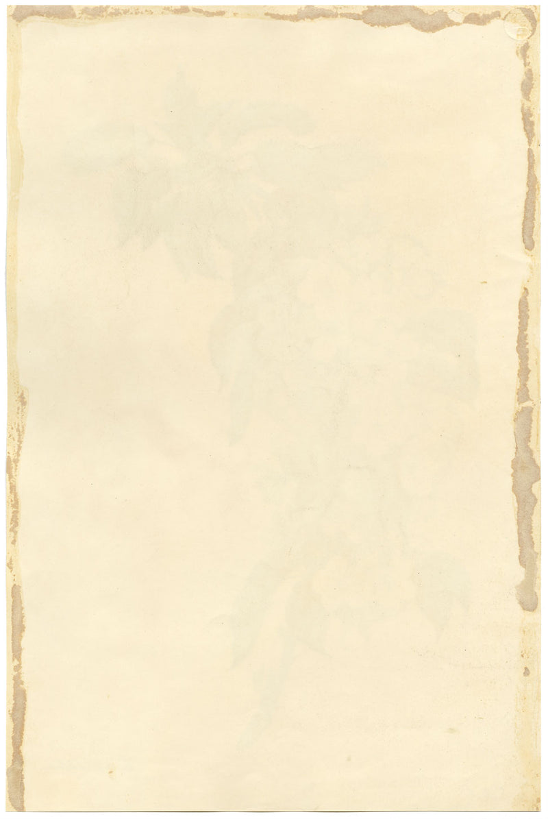 E.B.R., Cherry Blossom Branch – Original 1832 watercolour painting