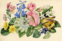Floriography Poem & Flower Illustration –early 19th-century watercolour painting