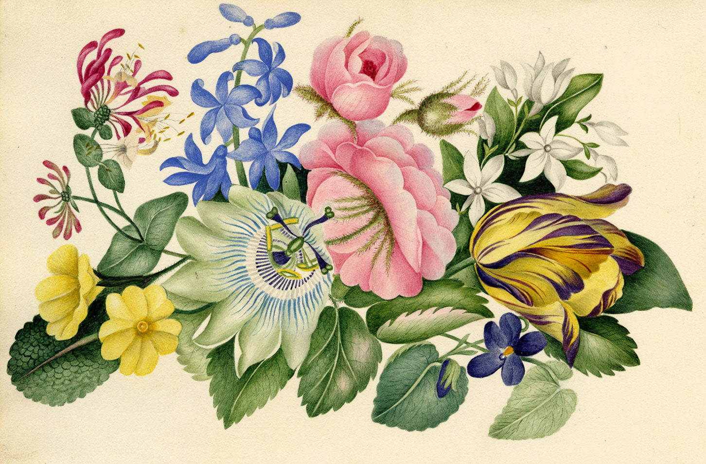 Floriography Poem & Flower Illustration –early 19th-century watercolour painting