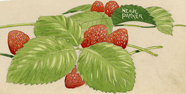 William Neave Parker, Strawberry Plant – mid-20th-century gouache painting