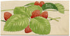 William Neave Parker, Strawberry Plant – mid-20th-century gouache painting