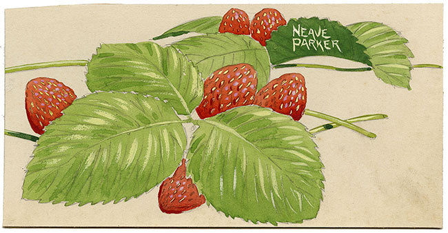 William Neave Parker, Strawberry Plant – mid-20th-century gouache painting
