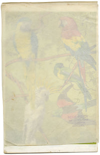 William Neave Parker, Parrots Bird Illustration – mid-C20th gouache painting