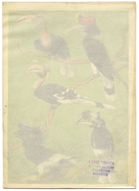 William Neave Parker, Hornbills Bird Illustration – mid-C20th gouache painting