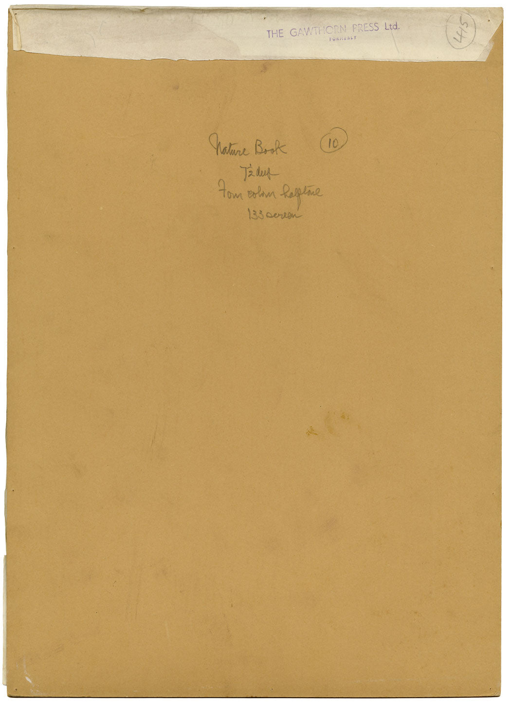 William Neave Parker, Hornbills Bird Illustration – mid-C20th gouache painting