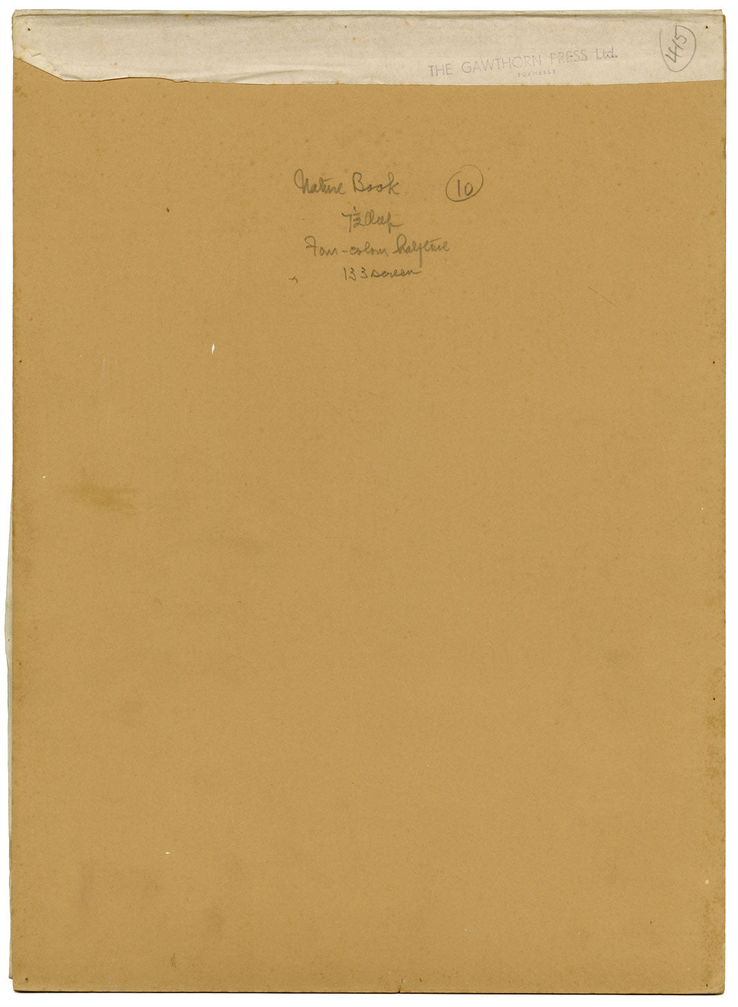 William Neave Parker, Ducks Bird Illustration – mid-C20th gouache painting