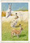 William Neave Parker, Snowshoe Hare Illustration – mid-C20th gouache painting