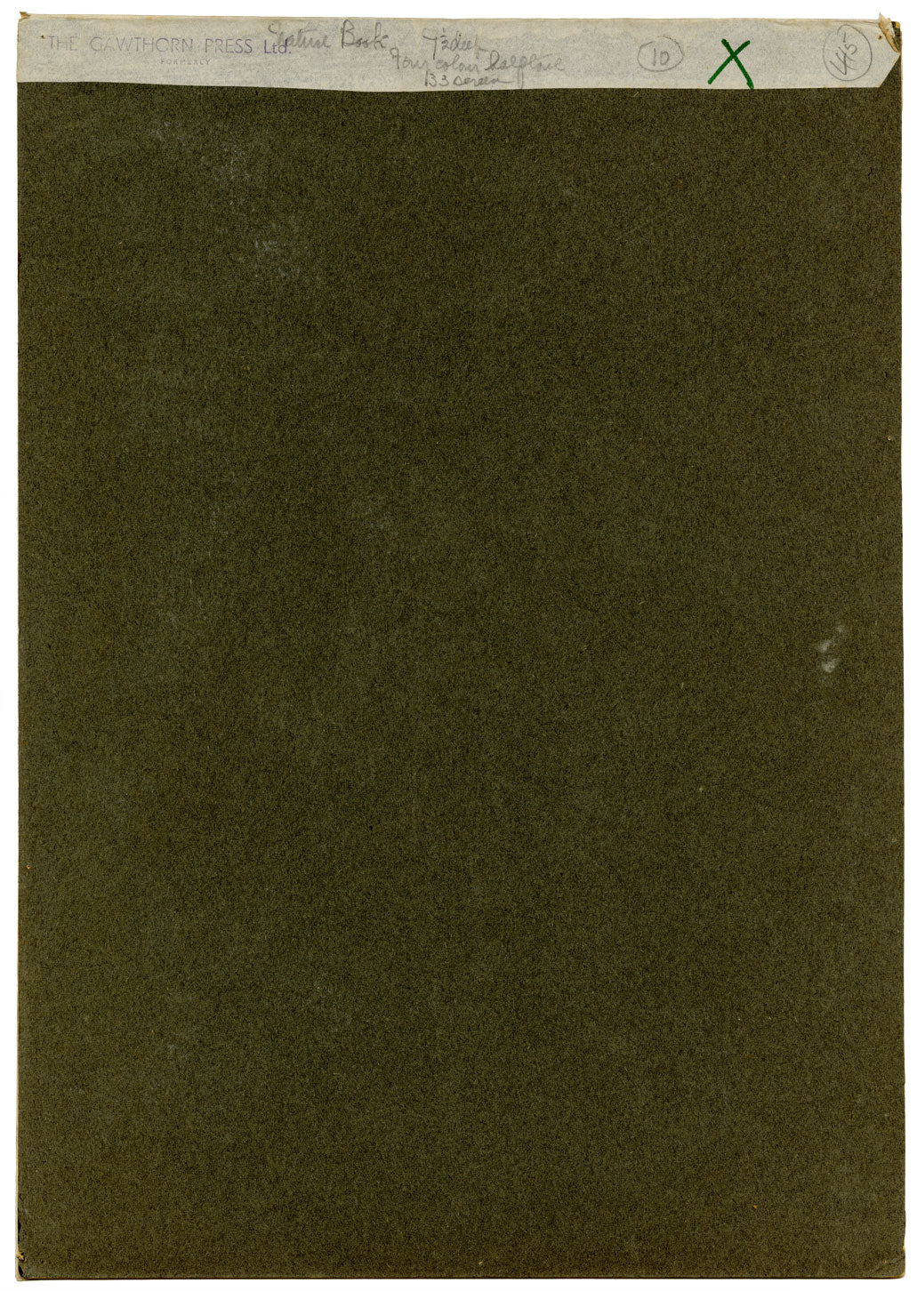 William Neave Parker, Snowshoe Hare Illustration – mid-C20th gouache painting