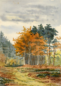 Rosa E. Neumann, Gittisham Common, Devon – Original 1887 watercolour painting