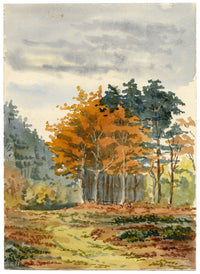 Rosa E. Neumann, Gittisham Common, Devon – Original 1887 watercolour painting