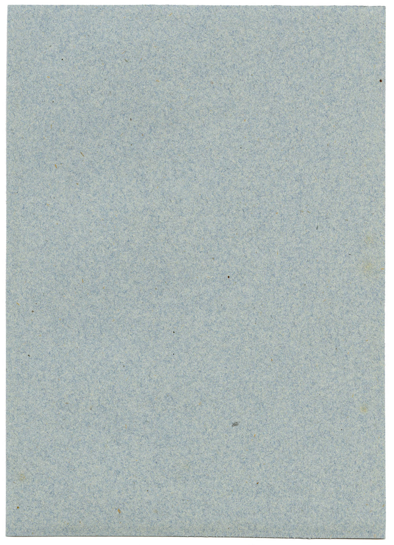 William J. Tipping, Portrait of Charles IX King of France –1856 graphite drawing