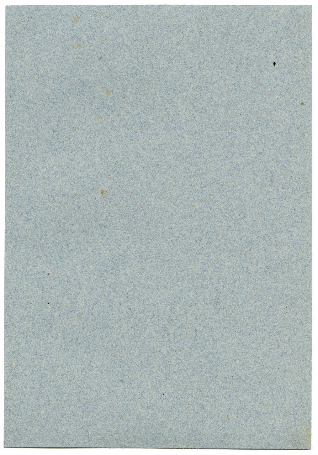 William J. Tipping, Portrait of Louis II de la Trémoille – 1856 graphite drawing