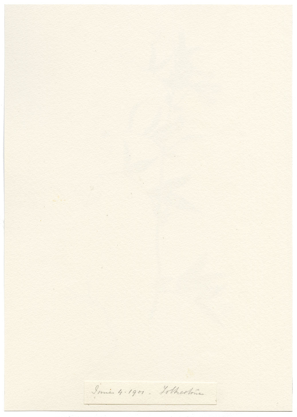 Falloon, Marsh Pea Flower, Folkestone, Kent – Original 1901 watercolour painting