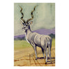 Leland M. Dundas, African Greater Kudu Antelope – 1920s watercolour painting