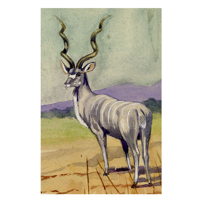 Leland M. Dundas, African Greater Kudu Antelope – 1920s watercolour painting