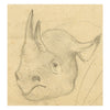 Leland M. Dundas, African Black Rhino – Original 1920s graphite drawing