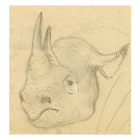 Leland M. Dundas, African Black Rhino – Original 1920s graphite drawing