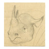 Leland M. Dundas, African Black Rhino – Original 1920s graphite drawing