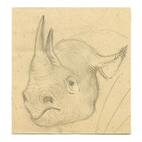 Leland M. Dundas, African Black Rhino – Original 1920s graphite drawing