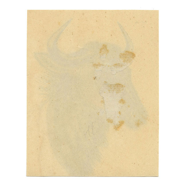 Leland M. Dundas, Blue Wildebeest, Kenya, Africa – 1920s watercolour painting