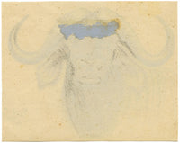 Leland M. Dundas, African Black Wildebeest – Original 1927 watercolour painting