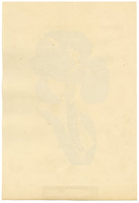 J. McA, Iris with Caterpillar of the Spotted Elephant Sphinx – c.1810s painting