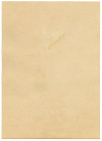 J. McA, Cream-spot Tiger Moth & Caterpillar Study – c.1810s watercolour painting