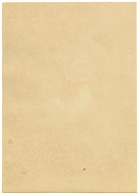 J. McA, White Satin Moth & Caterpillar Study – c.1810s watercolour painting