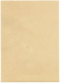 J. McA, Wasp Study, Ichneumon ramidulus & raptorius –c1810s watercolour painting