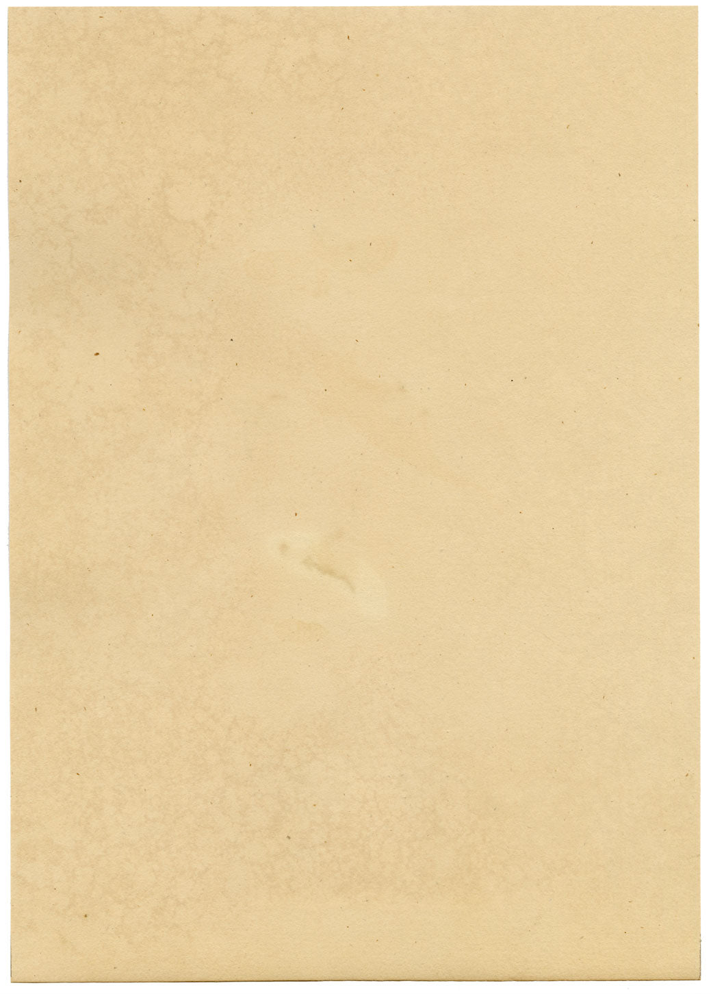 J. McA, Wasp Study, Ichneumon ramidulus & raptorius –c1810s watercolour painting