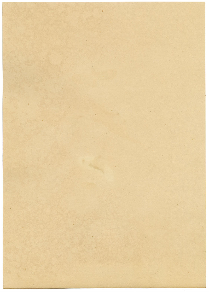 J. McA, Wasp Study, Ichneumon ramidulus & raptorius –c1810s watercolour painting