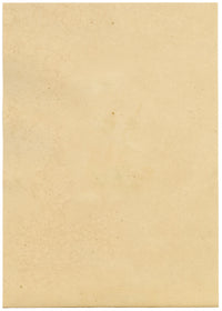 J. McA, Pebble Prominent Moth Life Cycle – Original c.1810s watercolour painting