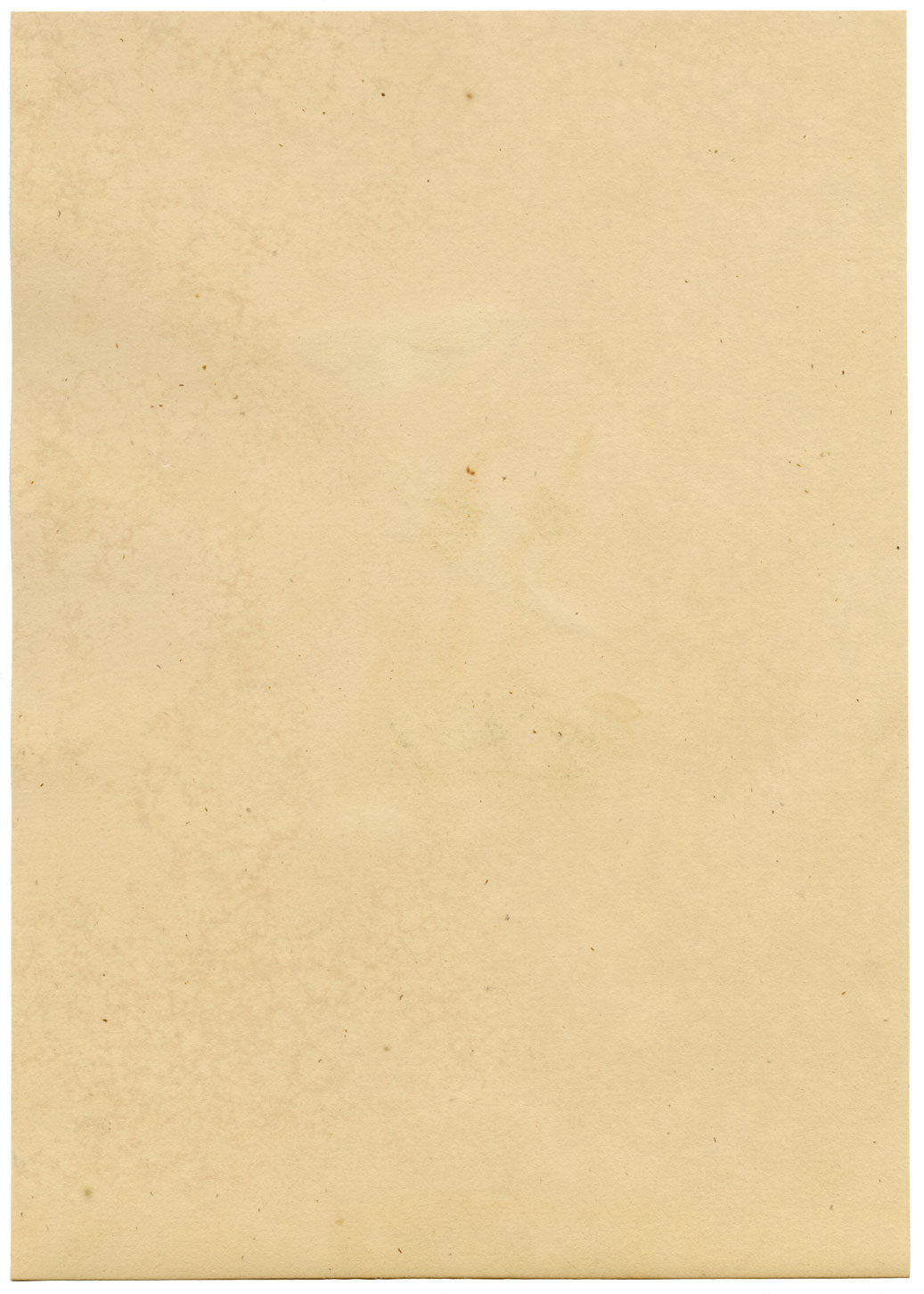 J. McA, Pebble Prominent Moth Life Cycle – Original c.1810s watercolour painting