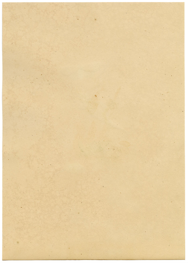 J. McA, Pebble Prominent Moth Life Cycle – Original c.1810s watercolour painting