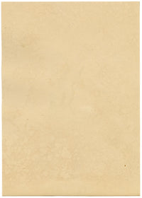 J. McA, Weevil Beetle Insect Study Curculio bacchus –c1810s watercolour painting