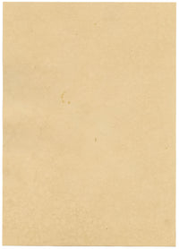 J. McA, White Cross Spider Study – Original c.1810s watercolour painting