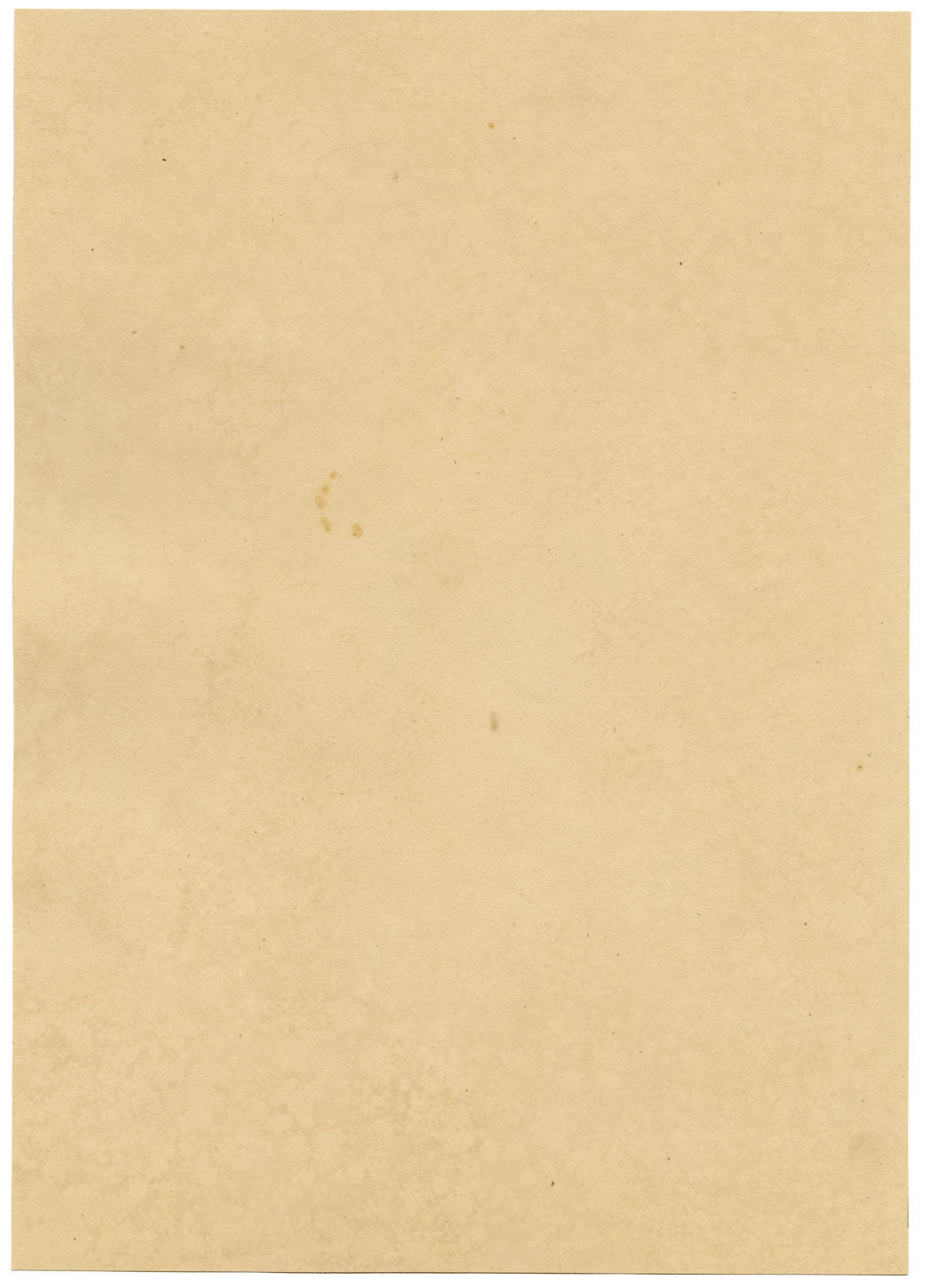 J. McA, White Cross Spider Study – Original c.1810s watercolour painting