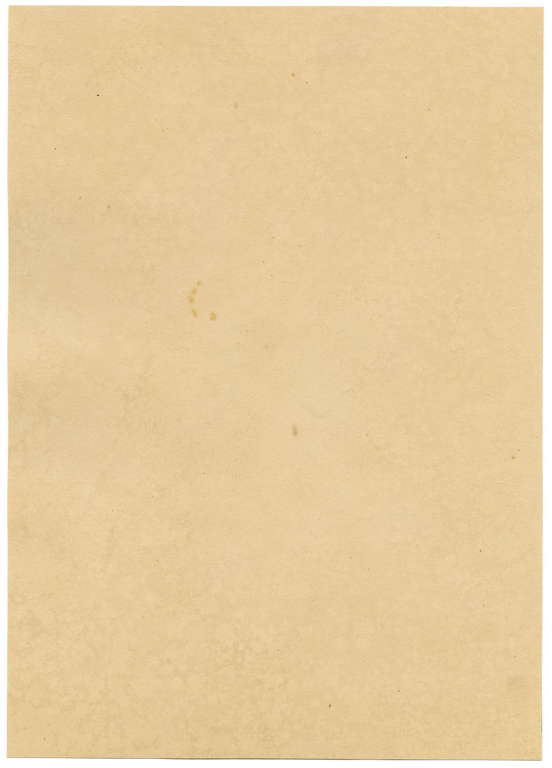 J. McA, White Cross Spider Study – Original c.1810s watercolour painting