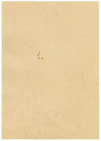 J. McA, Scarce Swallowtail Butterfly Study – c.1810s watercolour painting