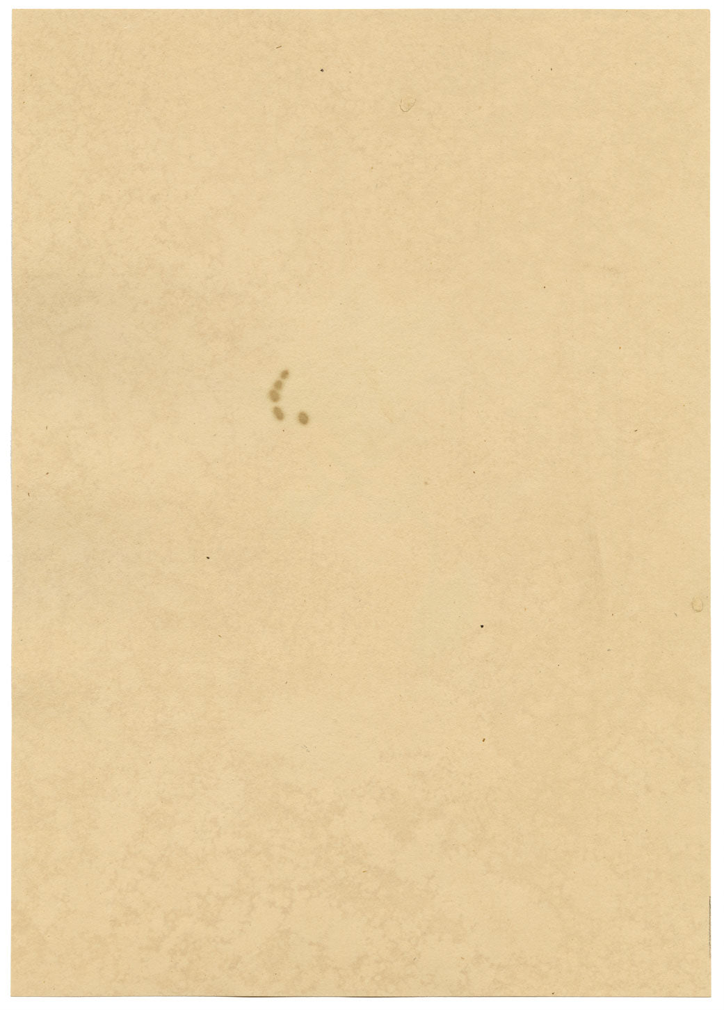 J. McA, Scarce Swallowtail Butterfly Study – c.1810s watercolour painting